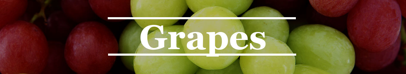 Banner-Grapes-Inglés